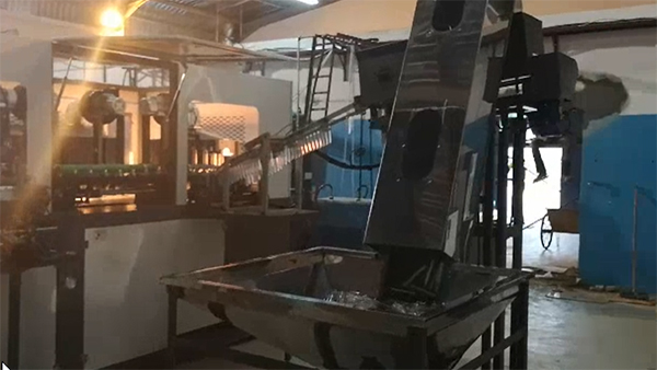 Bottle Blow Molding Machine